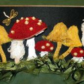 Toadstools with Alison Cole