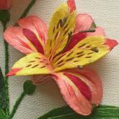 Princess Lily - Apricot Delight by Bets Maas Princess Lily - Apricot Delight by Bets Maas