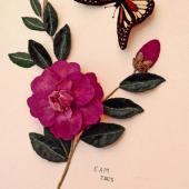 Camellia by Bets Maas