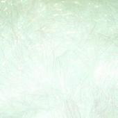 Angelina - Aurora Crystalina 2 grams Angelina - Aurora Crystalina 2 grams