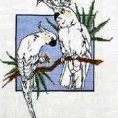 Cockatoo -Patterns by Jill Oxton