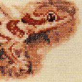 Ring Tailed Gecko - Patterns by Jill Oxton