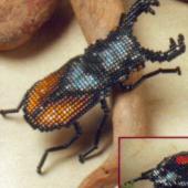 Beetle Collection - Patterns by Jill Oxton