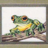Tree Frog - Patterns by Jill Oxton