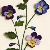 Violas in my Garden by Bets Maas